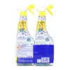 ACE SPRAY SGRASSATORE CUCINA LIMONE e BERGAMOTTO 2 PEZZI DA 600 ML