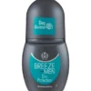BREEZE DEODORANTE ROLL-ON MEN DRY PROTECTION 50 ML