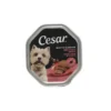 CESAR TENERO PATE' VITELLO & POLLO VASCHETTA 150g