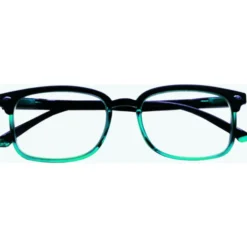 CHARRO NERO-BLU +1,50 OCCHIALI LETTURA HAWAII