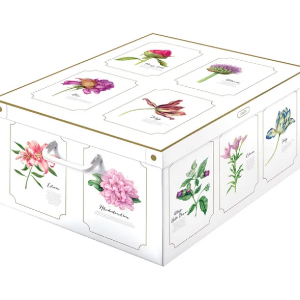 LAVATELLI SCATOLA BOTANIC 39x50x24