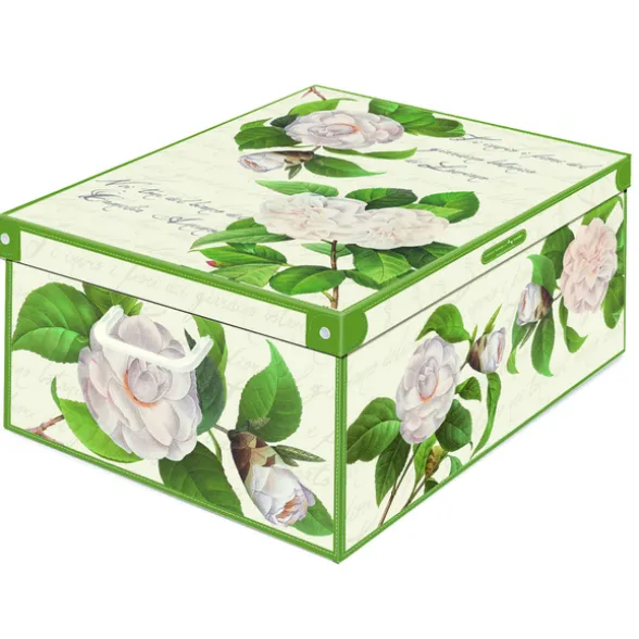LAVATELLI SCATOLA CAMELIE 39x50x24