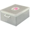 LAVATELLI SCATOLA POIS 39x50x24