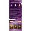PALETTE INTENSIVE COLOR CREME COLORAZIONE PERMANENTE FORMULA PROTETTIVA N. 6-65 CASTANO NOCCIOLA