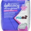 PIUME ASSORBENTI DELICACY ULTRA GIORNO CON ALI12 PEZZI