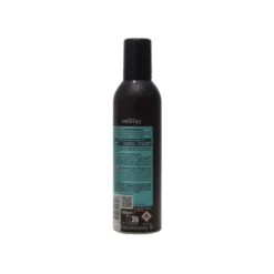 PROVOST MOUSSE 24h 300 ML.RICCI