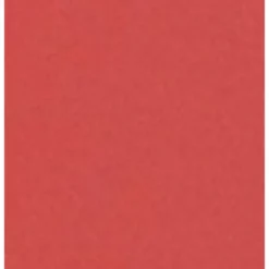 SHEGLAM LIQUID BLUSH COLOR BLOOM MATTE FINISHROSE RITUAL