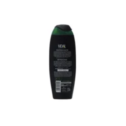VIDAL DOCCIA SCHIUMA250 ML MINT & GINKGO
