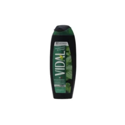 VIDAL DOCCIA SCHIUMA250 ML MINT & GINKGO