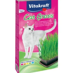 VITAKRAFT CAT GRASS BUSTA MISCELA DI SEMI PREGIATI 120 GRAMMI